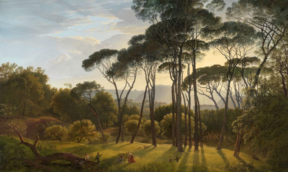 Beautiful landscape with trees. Peaceful scenery.