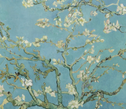 Mandelblüten Gemälde von Vincent Van Gogh